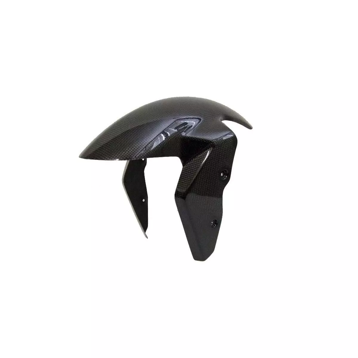 Garde boue avant LIGHTECH carbone brillant Bmw S1000R