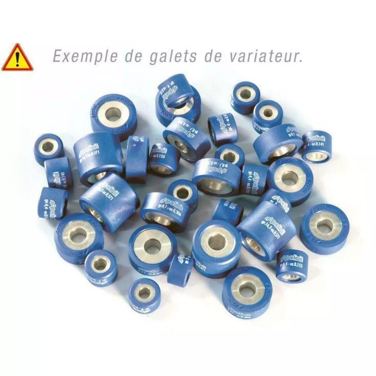 Galets Polini 25 x 16 17g 1114953