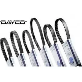 Courroie de transmission pour Scooter Dayco (DIM : 28-14.2-1036)