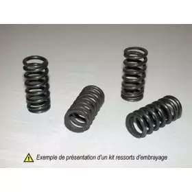 Kit Ressorts D'Embrayage Prox Ktm Sx85 '04 11