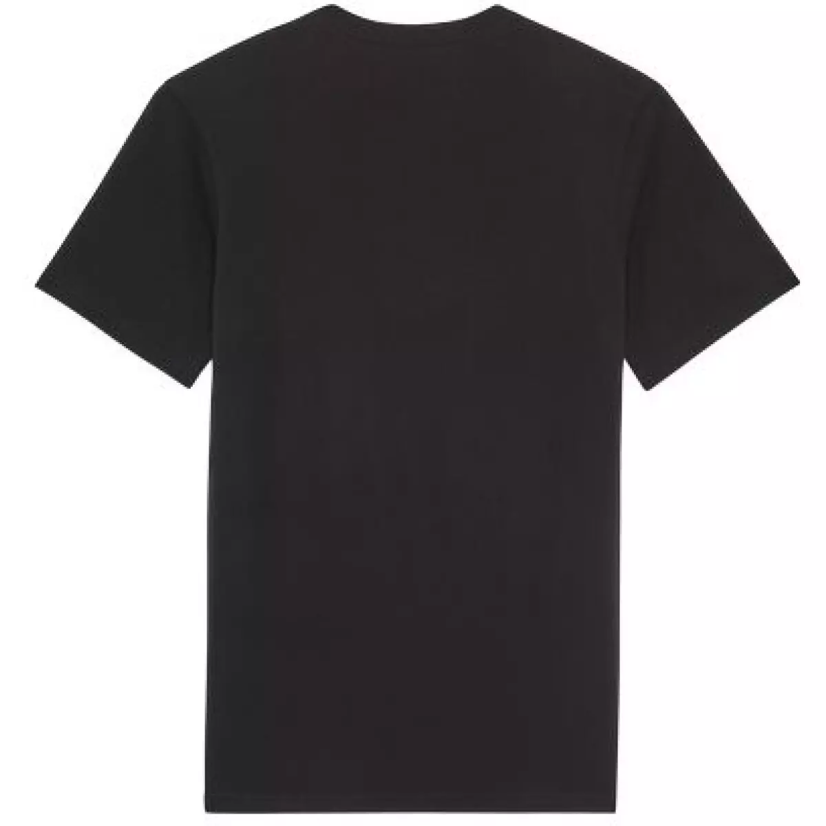 Tee-Shirt Fox Global Noir