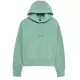 Sweat Fox Femme Wordmark Oversize Vert Menthe