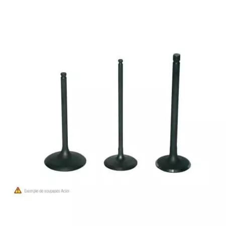 Soupape D'Admission Prox Pour Xt660R X '04 10