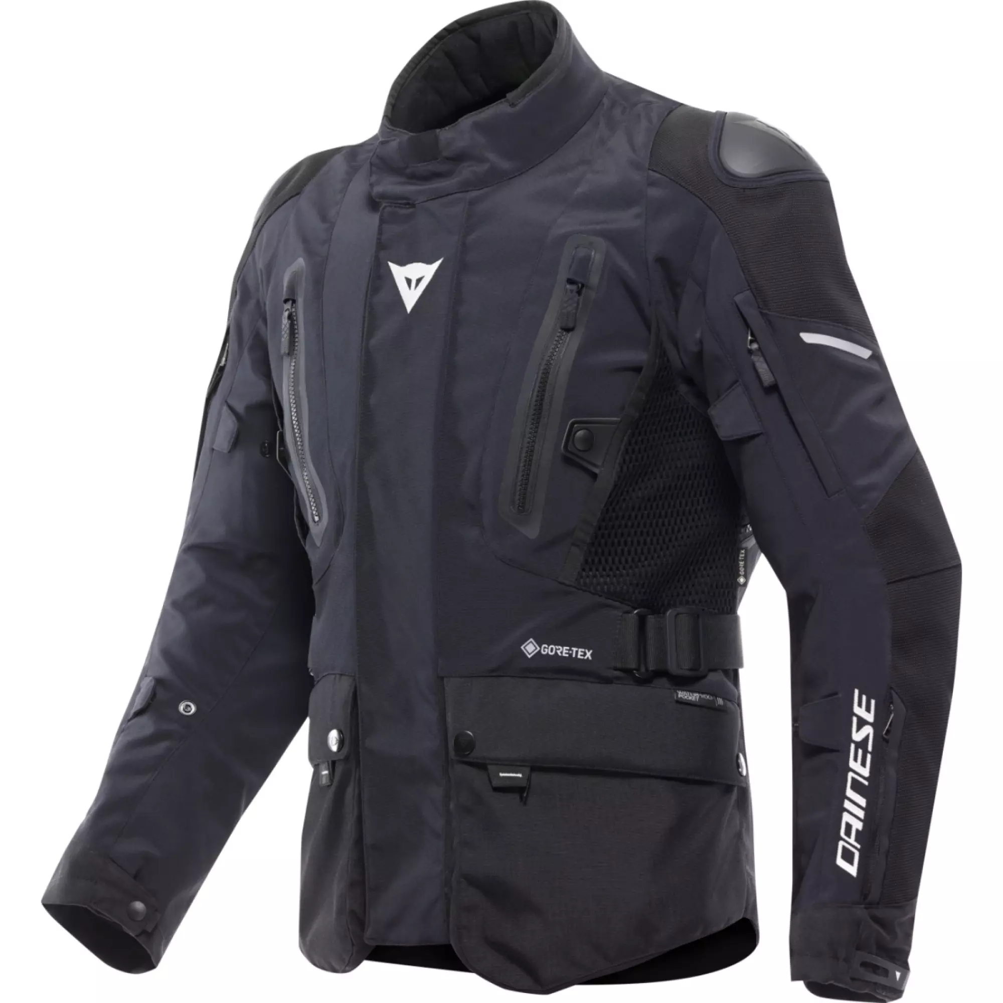 Blouson Dainese Carve Master 4 Gore-Tex Noir