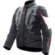 Blouson Dainese Carve Master 4 Gore-Tex Noir Ebène