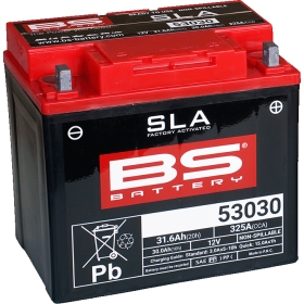 Batterie BS Battery 53030 12V 31.6Ah - Prête À L'emploi