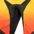 Pantalon Cross Kenny Raptor Sunset