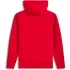 Sweat Alpinestars Race Wordmark Rouge