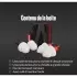 Bouchons D'Oreilles Alpine MotoSafe Duo