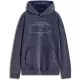 Sweat Alpinestars Infinite Washed Oversized Gris