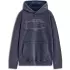 Sweat Alpinestars Infinite Washed Oversized Gris