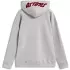 Sweat Alpinestars Pioneer Oversized Gris