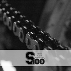 S100